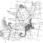 Tyson’s Zodiac: Are There Really Fourteen Signs?